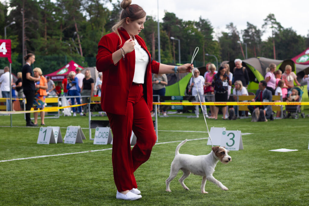 ALBUQUERQUE Grey Vanilla na wystawie psów rasowych w białymstoku

Psy z hodowli Grey Vanilla FCI – w pracy i sporcie