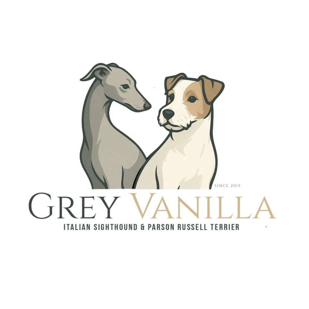 logo hodowli Charcików włoskich i parson russell terrierów - grey Vanilla w Warszawie
