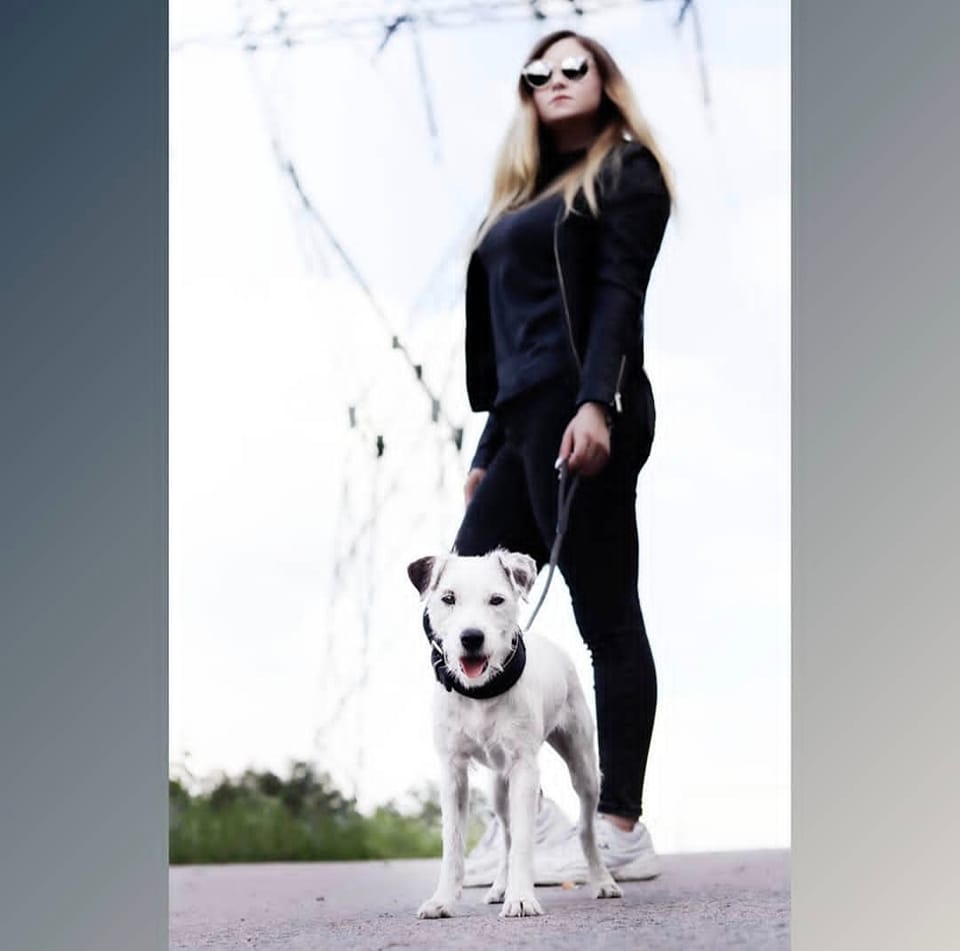 Klaudia Tokarska - Hodowca ZKwP FCI - Parson Rusell Terrier